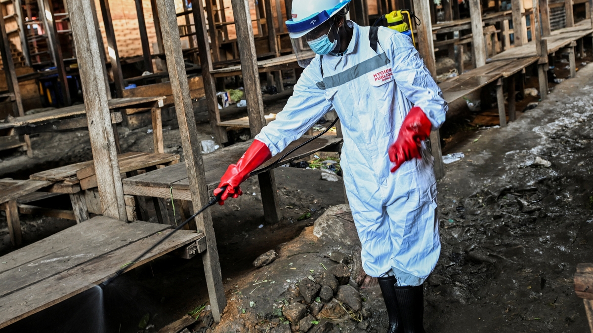Diez países de África se encuentran en “alto riesgo” por el brote de ébola
