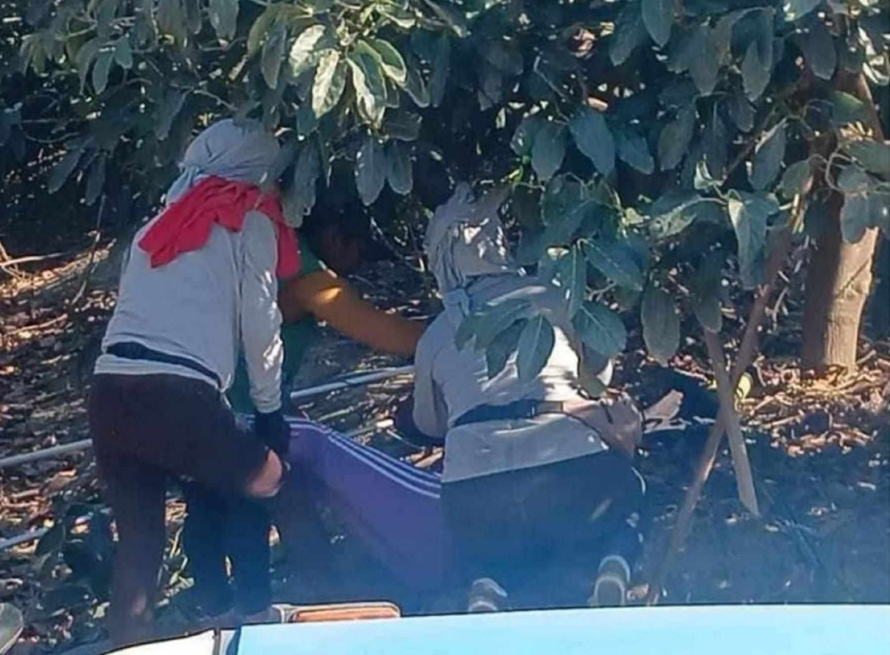 Emergencia en Lambayeque: 25 personas son atendidas por posible intoxicación en Chongoyape