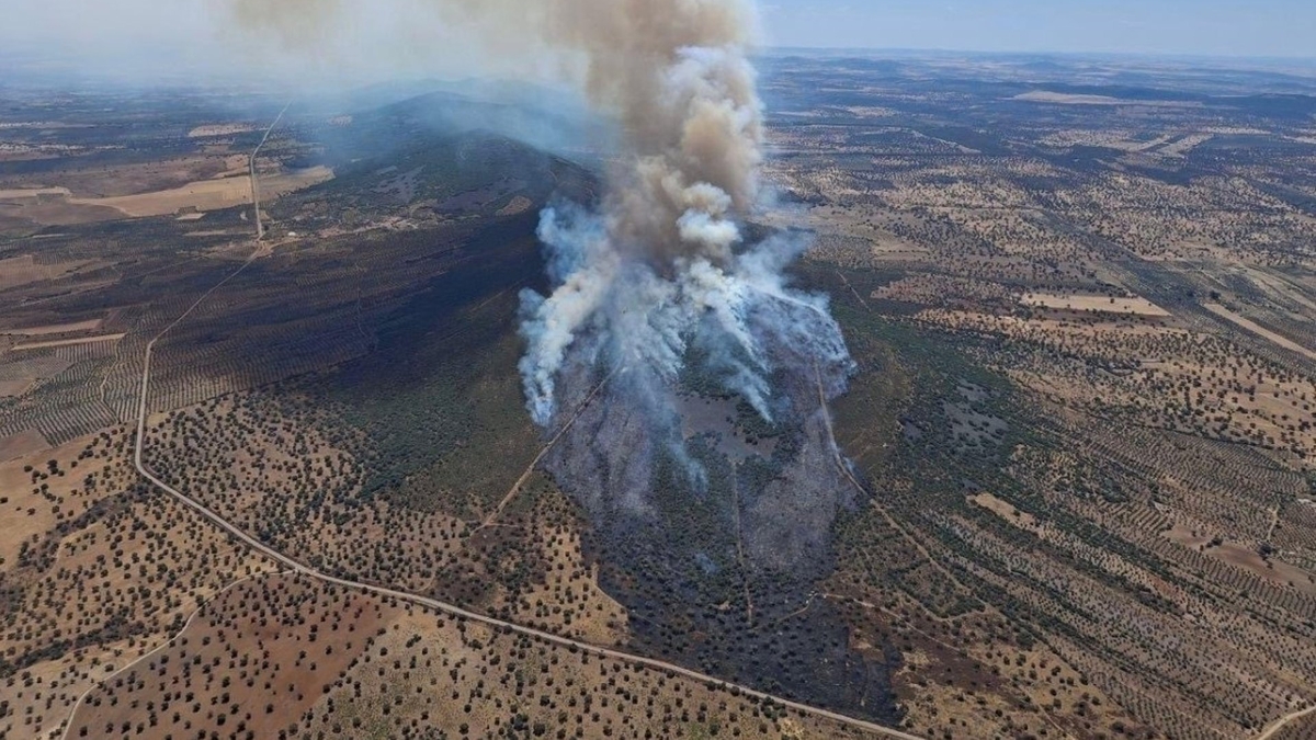 Tras la ola de calor en Europa, los incendios forestales arrasan más de 17.000 hectáreas