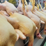 Gripe aviar en Perú: ¿es seguro comer pollo y huevos tras la emergencia sanitaria por H5N1?