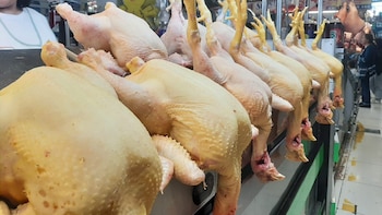 Gripe aviar en Perú: ¿es seguro comer pollo y huevos tras la emergencia sanitaria por H5N1?