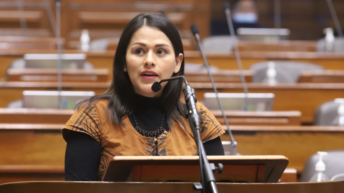 Silvana Robles niega haber votado por Fuerza Popular, exige revisar las cámaras y todos los votos no exhibidos en el Senado