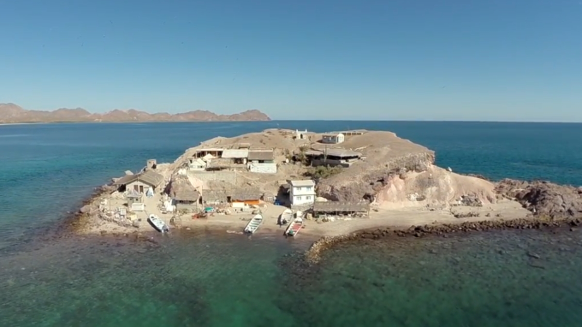 Llegaron en bote a una isla desierta y la transformaron en su hogar: hoy sus hijos viven de la pesca y los turistas curiosos