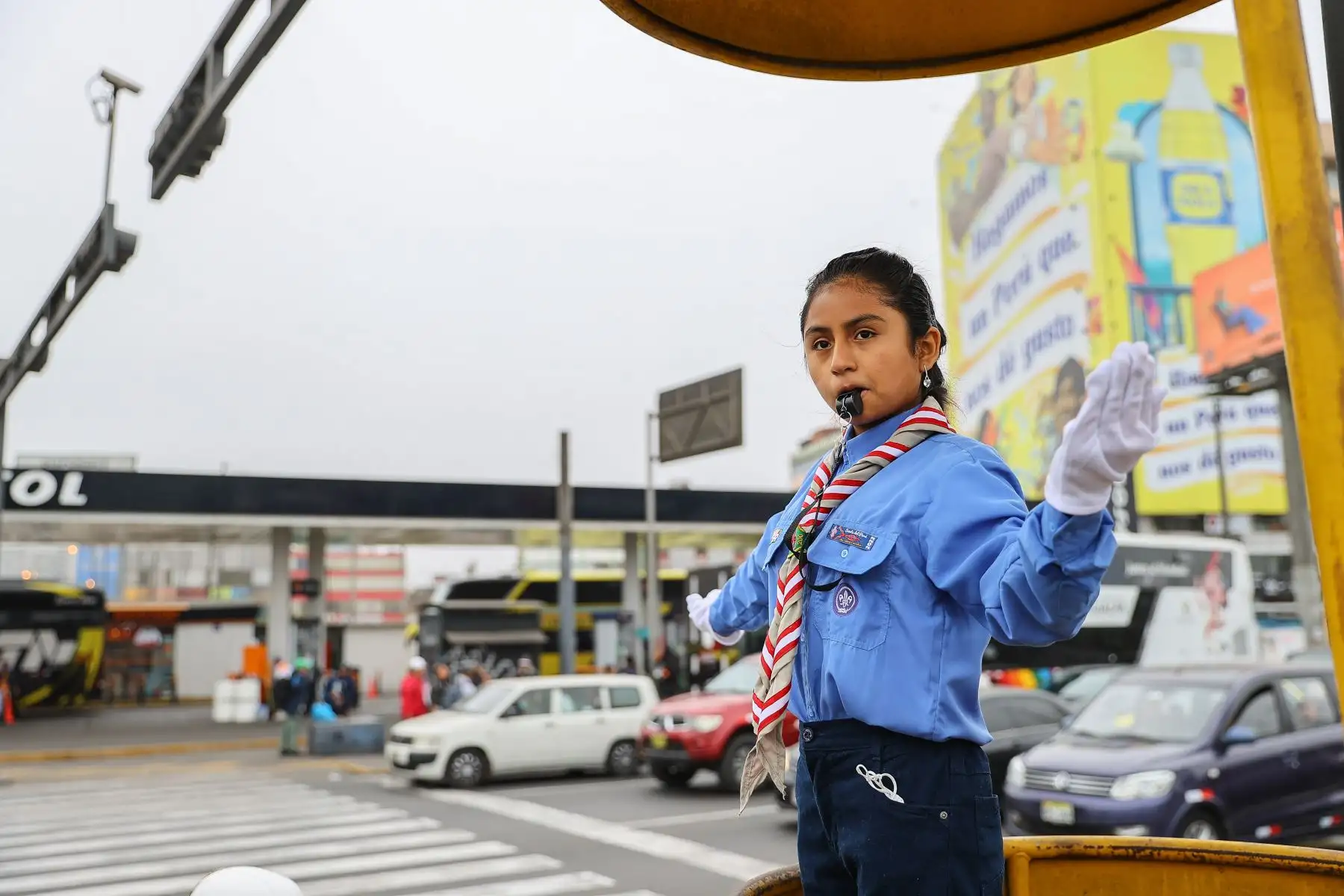 Scouts dirigirán tránsito hoy domingo 30 de agosto en homenaje a Santa Rosa de Lima