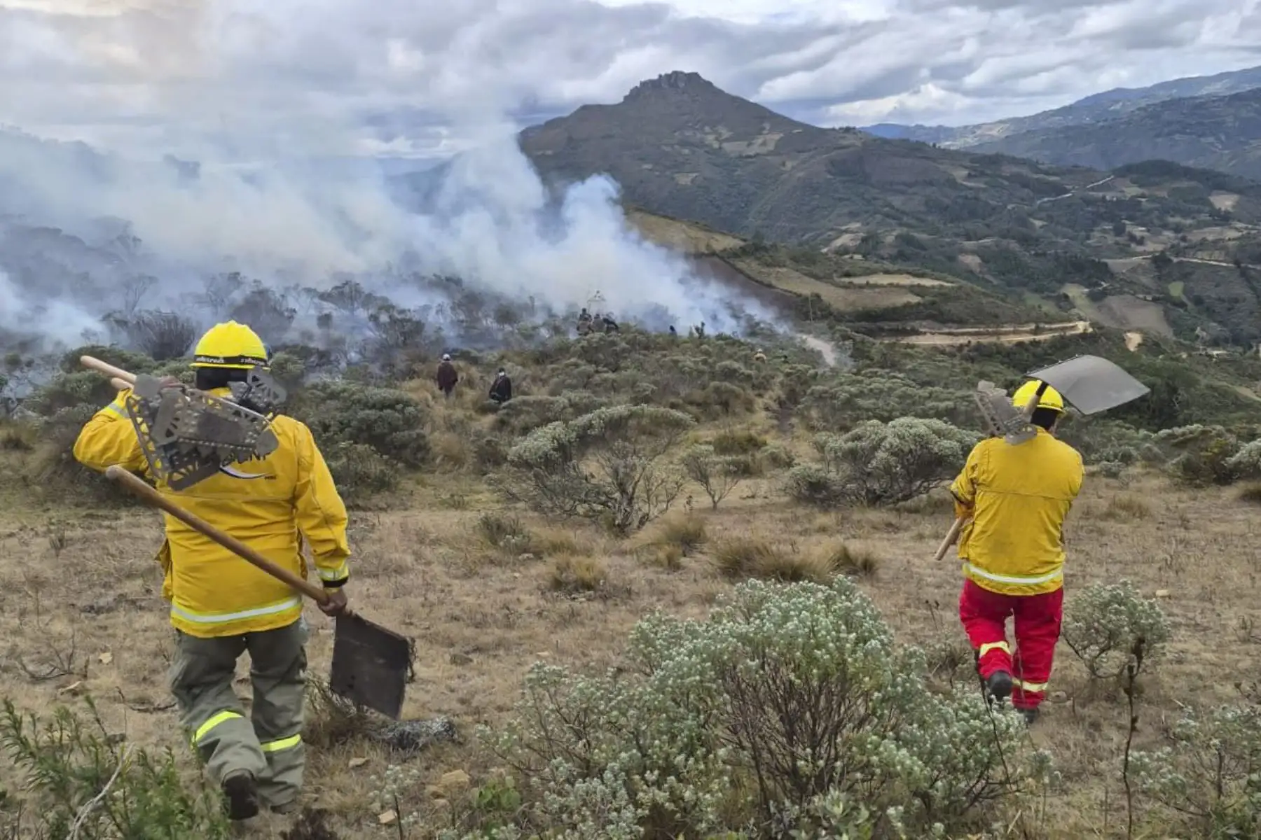 Logran controlar el 90 % del incendio en Cañaris en región Lambayeque
