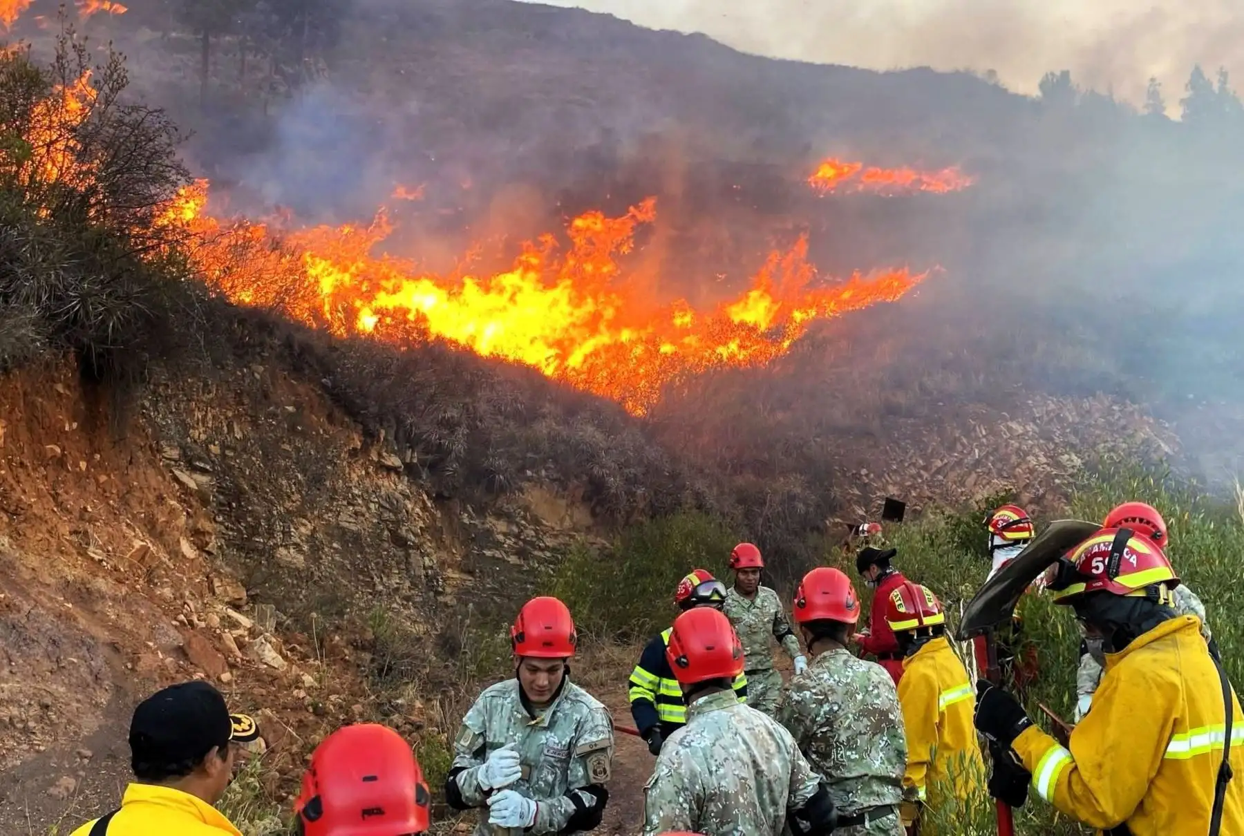 Crean grupo de trabajo para fortalecer la prevención y gestión de incendios forestales