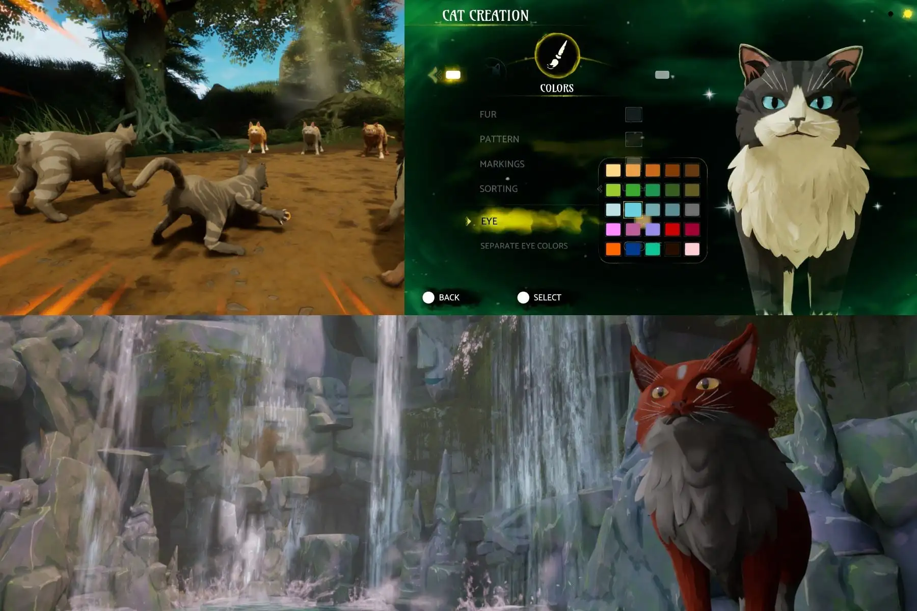 Día del Gamer: estudio peruano desarrolló videojuego Warrior Cats: Clans of the Forest