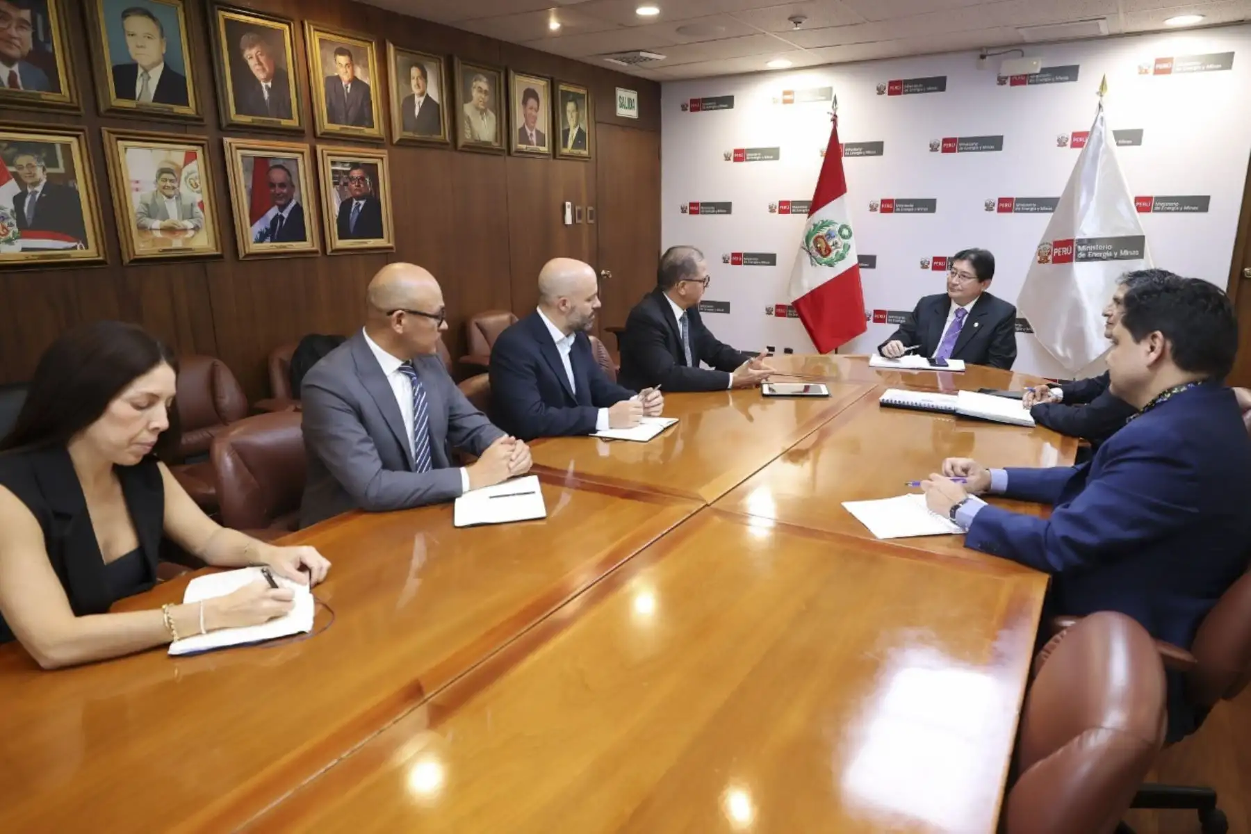 Minem: cartera de proyectos de energías renovables suma US$ 46,859 millones