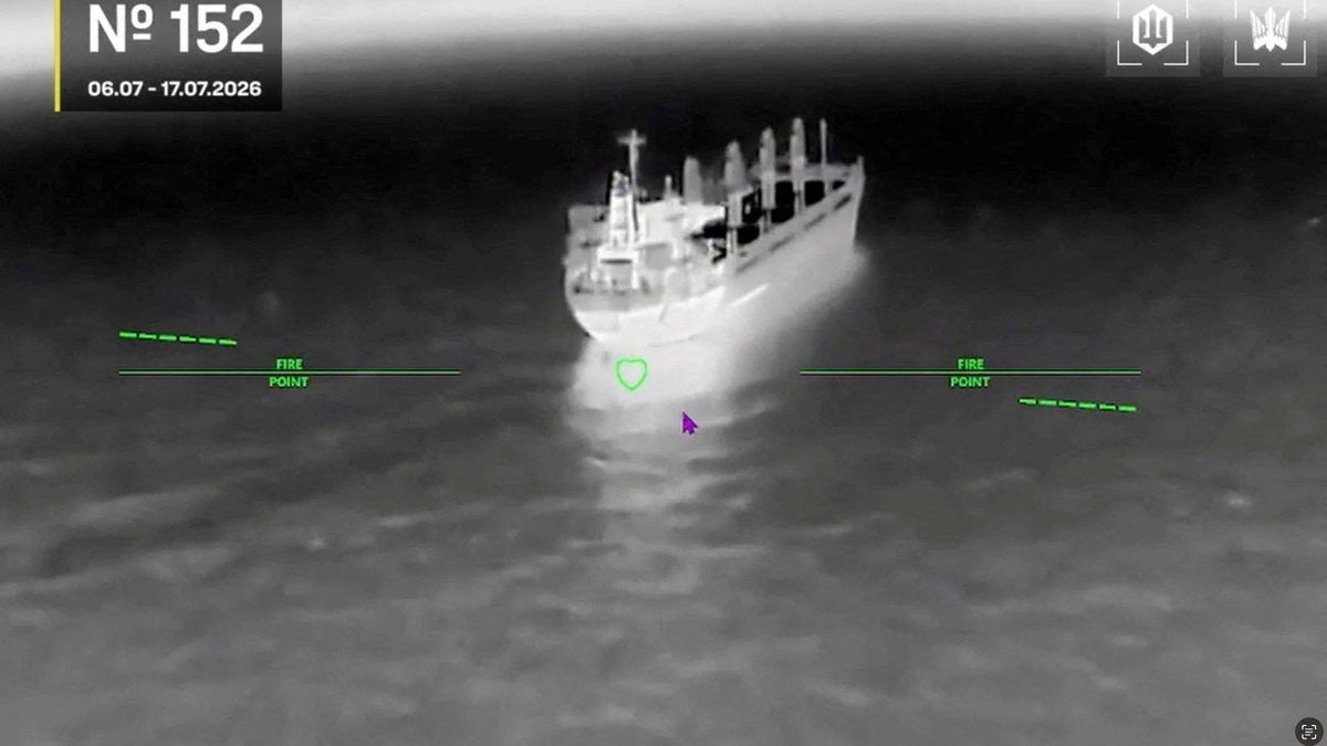 Ucrania hundió un buque portacontenedores de propiedad rusa en el Mar Negro