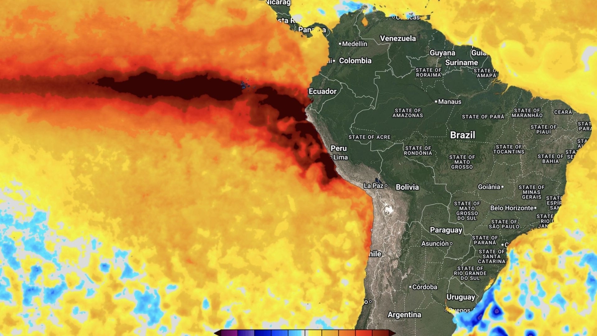 Las costas del Perú enfrentan una ola de calor marino de categoría 5 (extrema): ¿Qué hay detrás de esto?