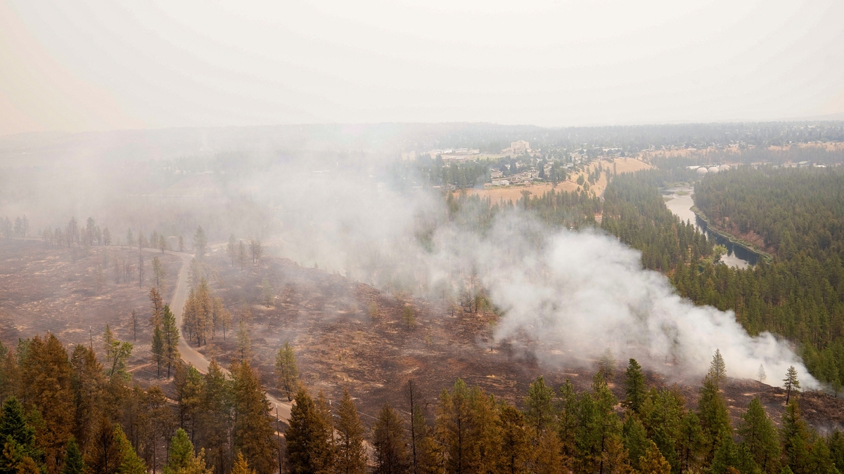 Los incendios de Washington ya arrasaron 600 estructuras y obligaron a evacuar a 60.000 personas