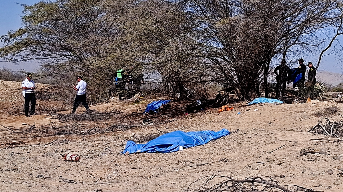 Tragedia en Nasca: ¿Quién controla el mantenimiento de las avionetas turísticas en Las Líneas de Nasca?