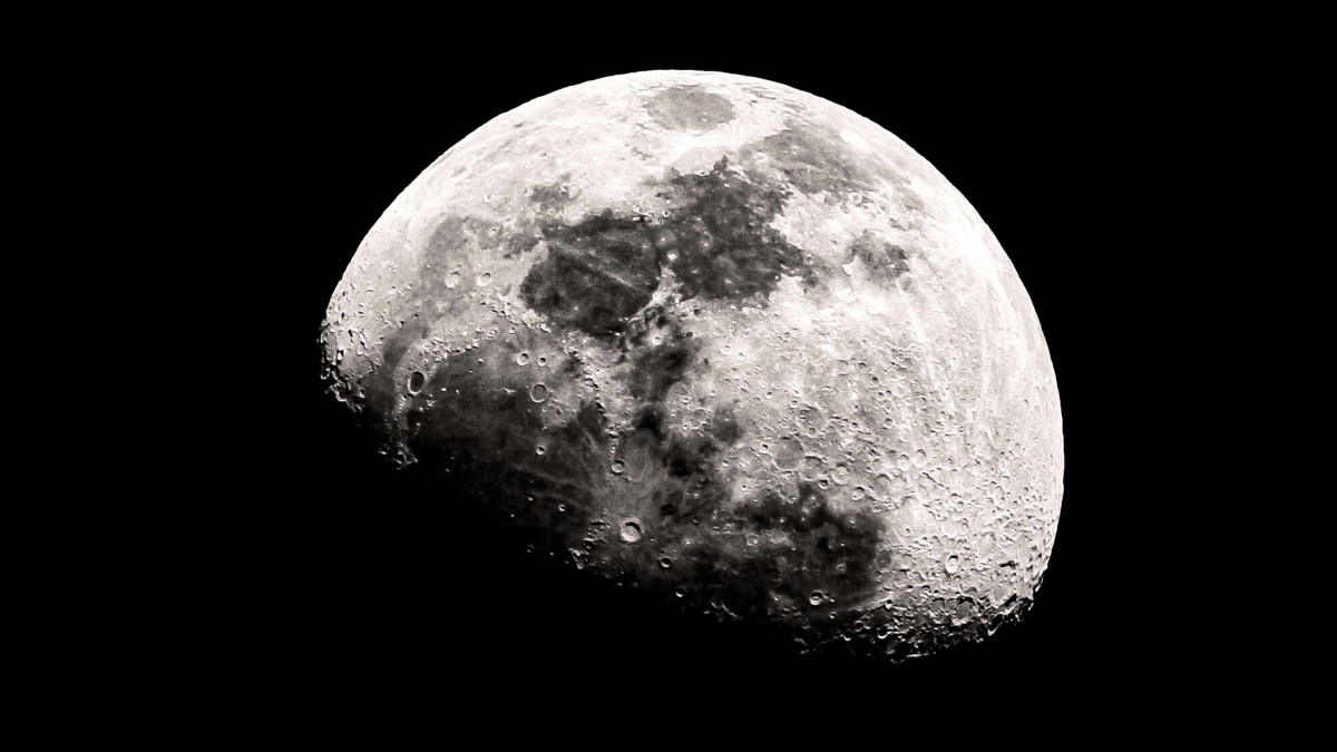 NASA descubre que un moho negro puede sobrevivir en la Luna