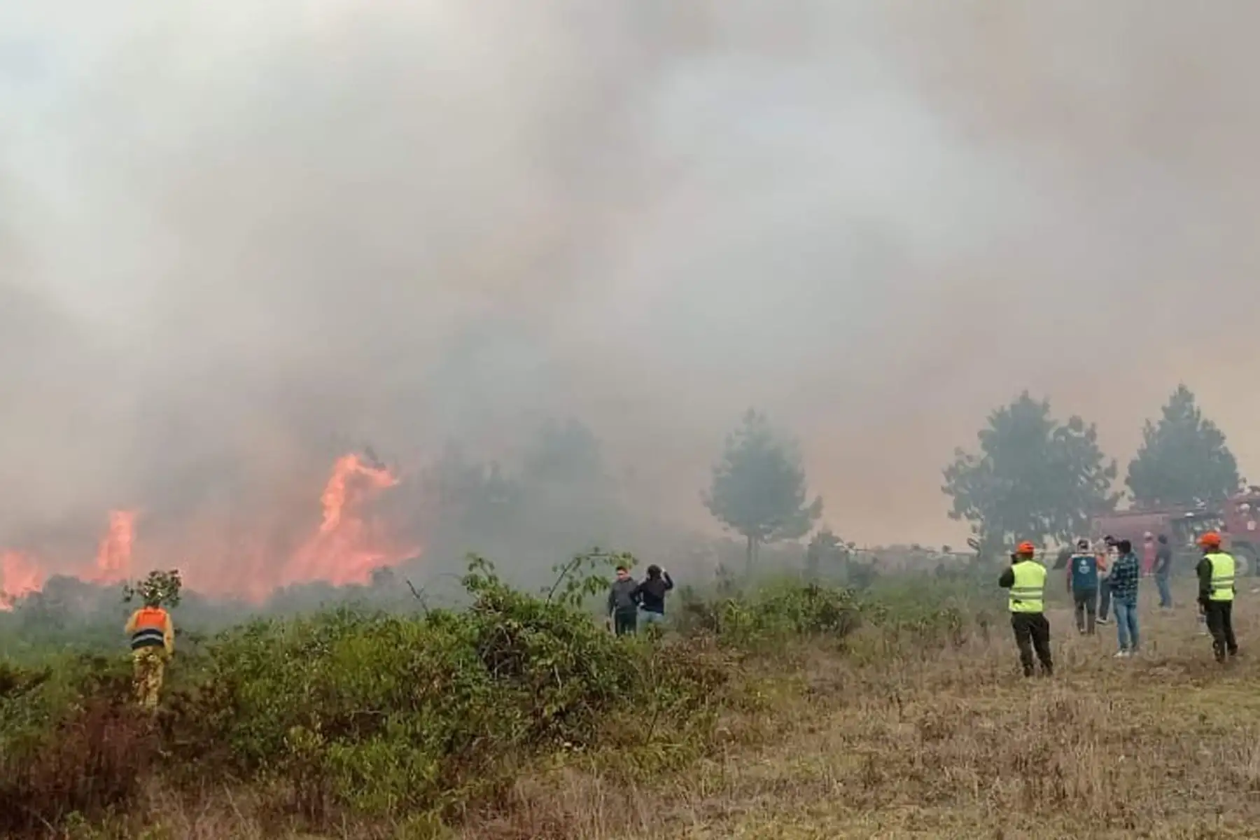 Pronóstico de vientos fuertes elevan a extremo el riesgo de incendios en región Amazonas