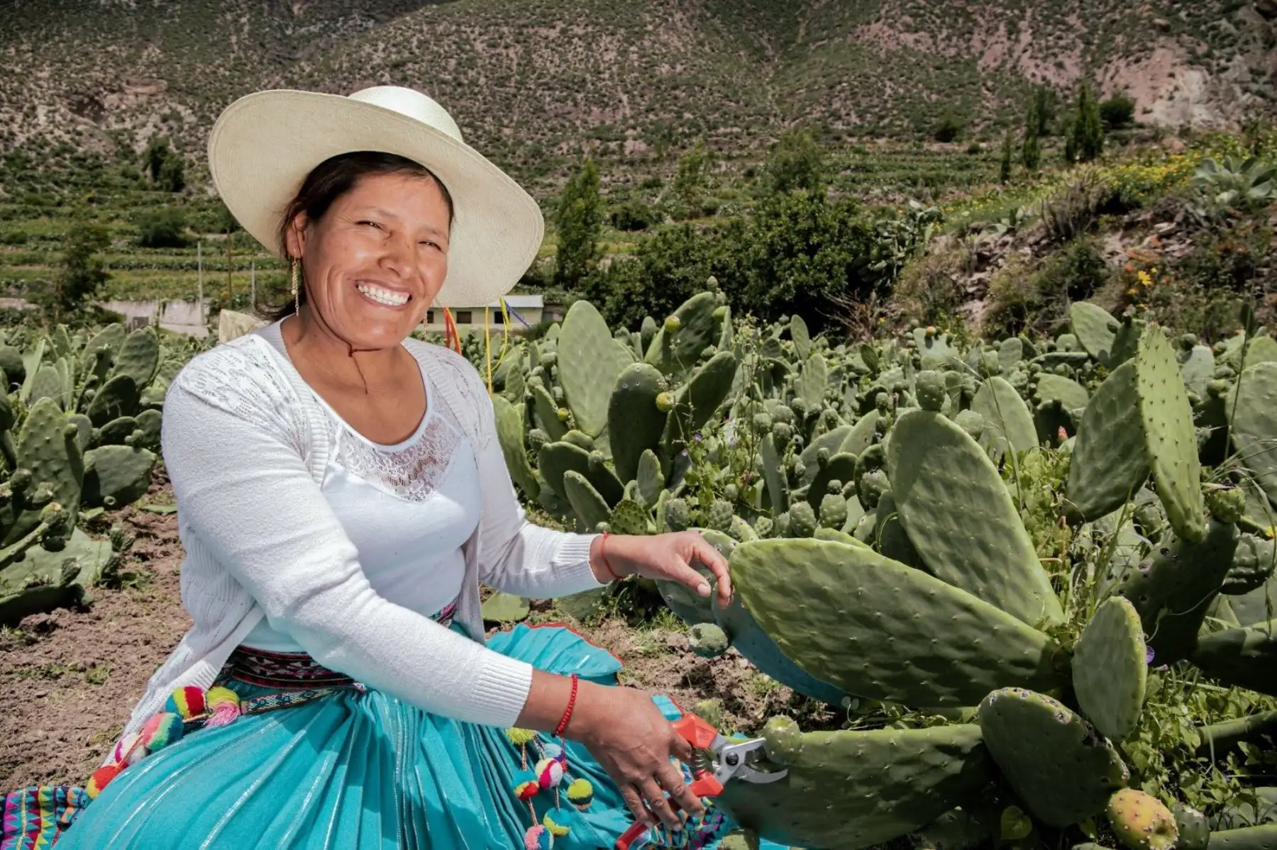 Organizaciones agrarias de mujeres recibirán S/ 1.2 millones de apoyo para emprendimientos
