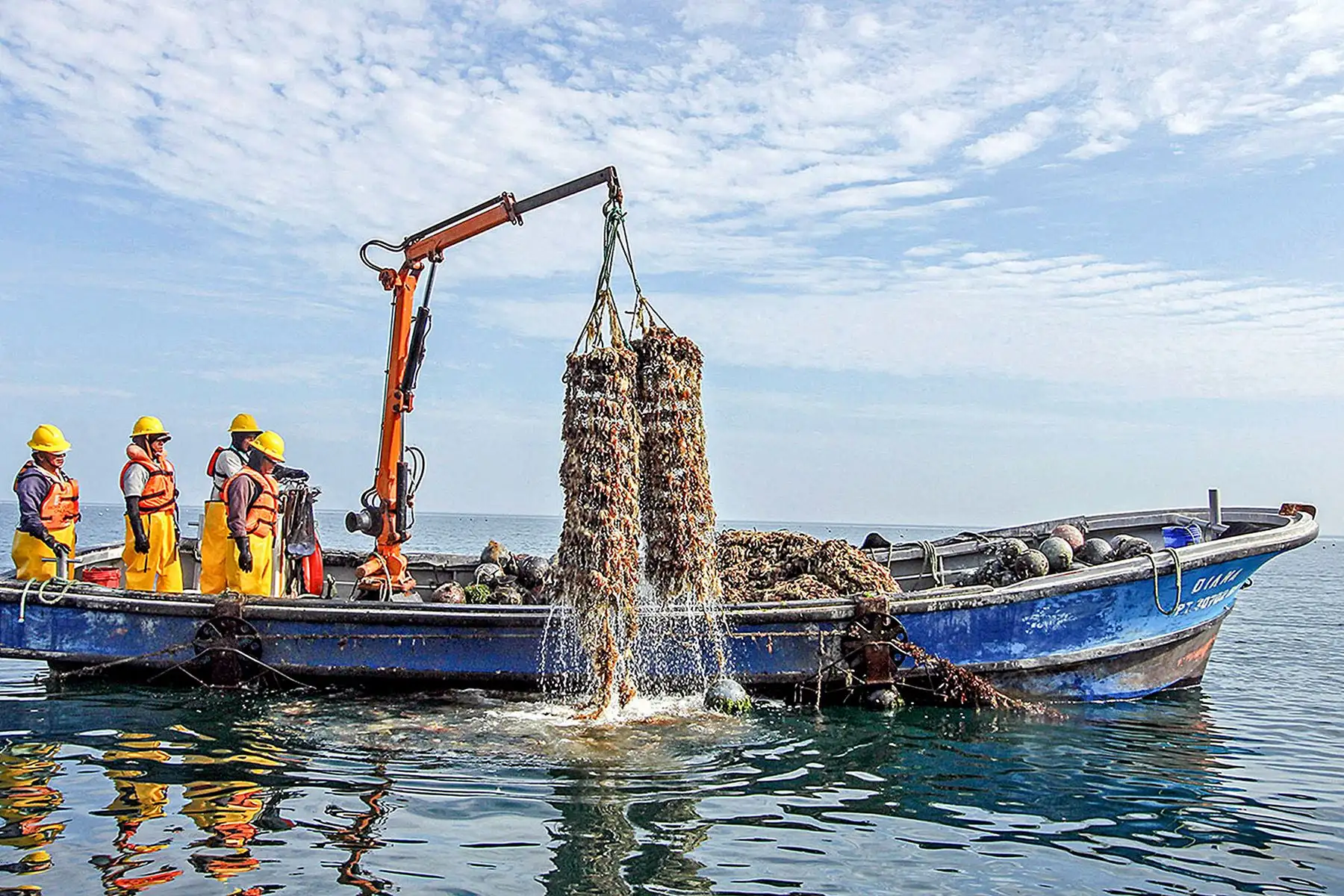 Gobierno fortalece pesca y acuicultura con 1,331 habilitaciones sanitarias en seis meses