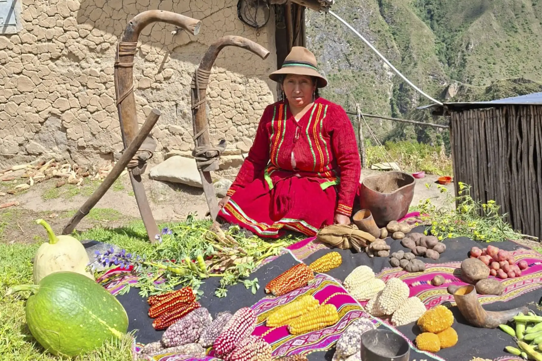 FAO reconoce a peruana Rita Parcco como ‘mujer heroína en sistemas agroalimentarios’
