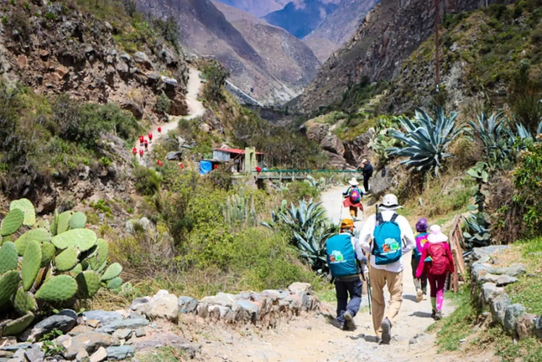 Camino Inca a Machu Picchu fue reabierto con más de 400 turistas, guías y portadores