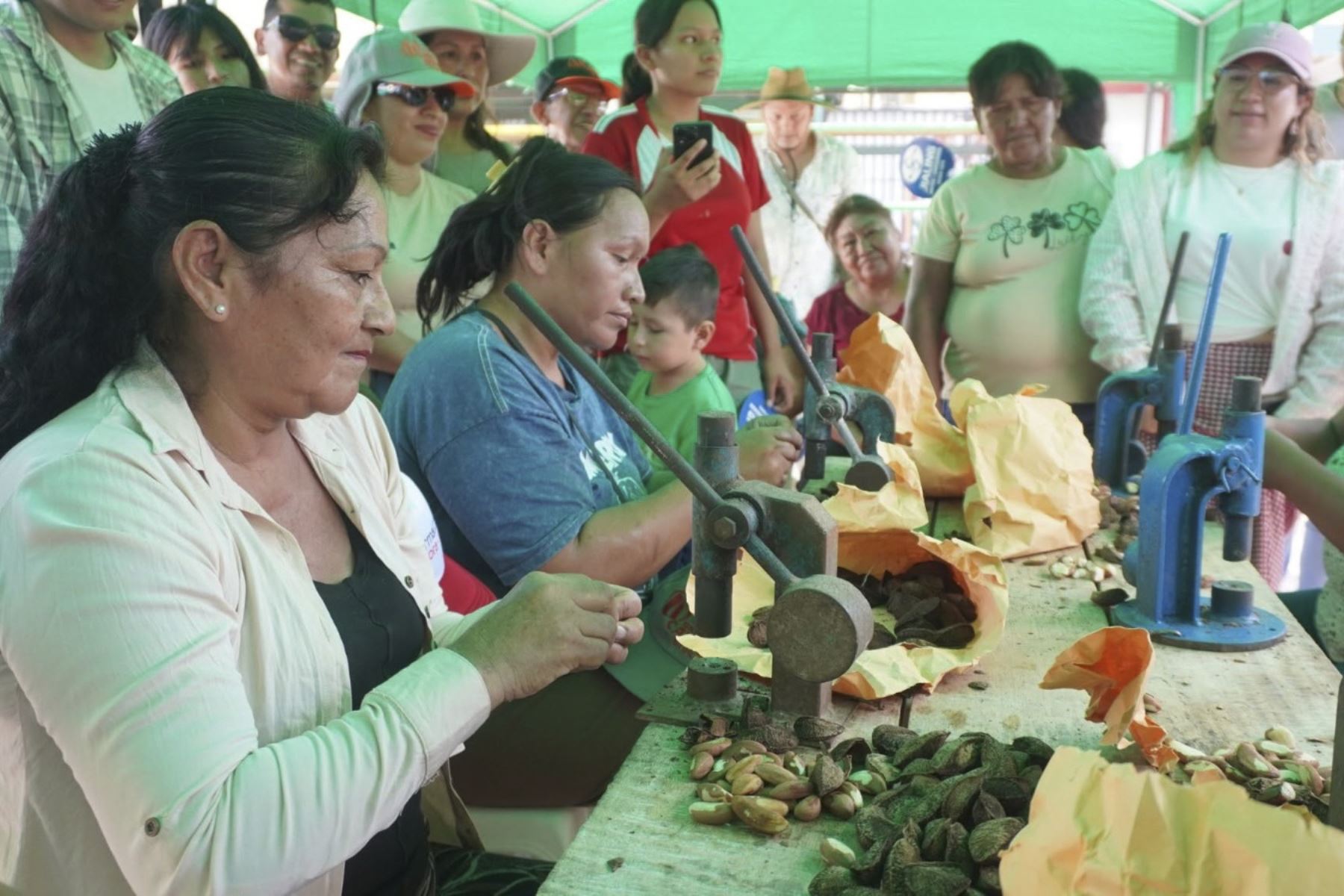 Madre de Dios: Festival de la Castaña reflejó trabajo de conservación de bosques en región