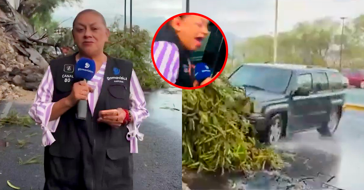 Accidente en vivo en México: reportera y camarógrafo son atropellados mientras cubrían otro choque en autopista