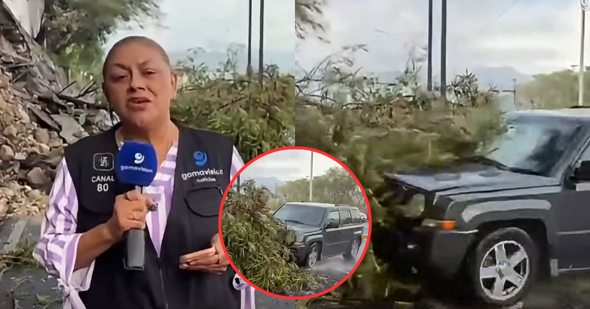 Reportera y camarógrafo son atropellados mientras informaban EN VIVO desde una autopista